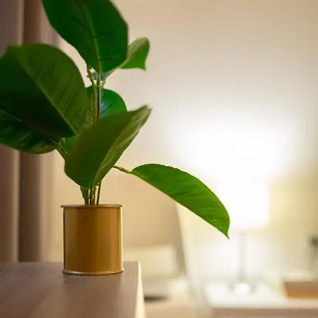 Apartment Vanja